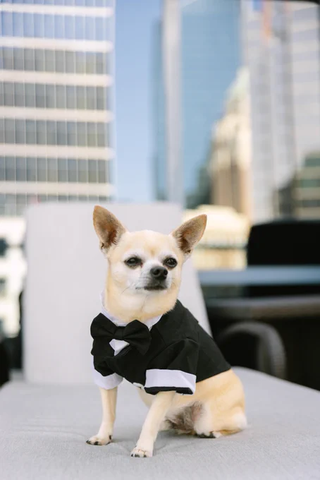 wedding images