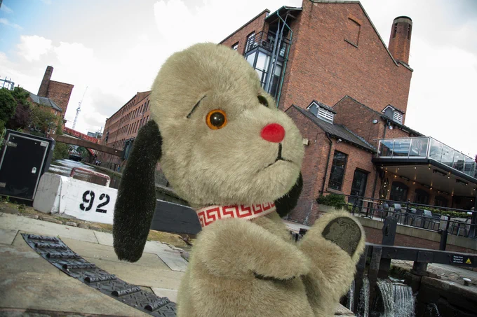 Sweep poses next to a lock on the Leeds Liverpool Canal.