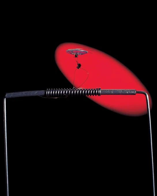 A red spotlight shows a flea balancing on wire.