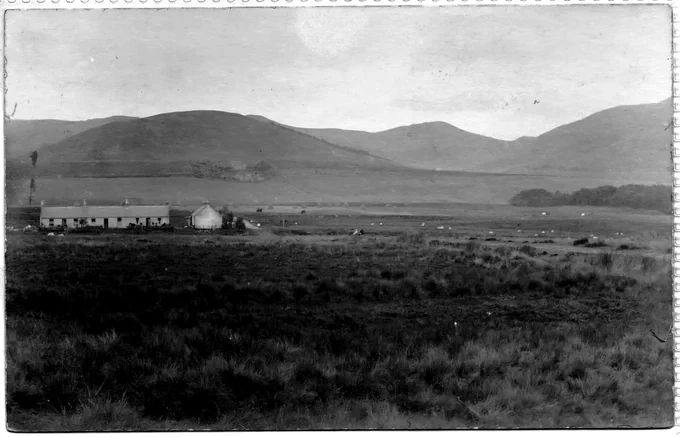 two rows of cottages in a flat landscape. A range of hills in distance. patch of trees middle distance. 