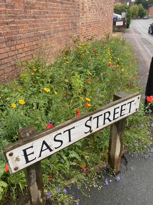 A view of the new flower bed behind the East Street road sign, between the pavement and brick wall