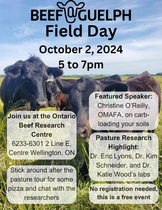 Beef@Guelph field day flyer, October 2, 2024 from 5 to 7pm. Research from 3 labs and featured speaker Christine O'Reilly from OMAFA will discuss the latest in pasture management. No registration needed.