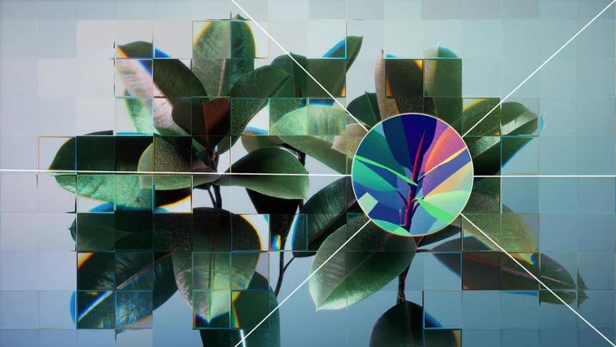 a photograph of a plant with a circle around part of the leaves and within the circle the plant appears to be drawn 