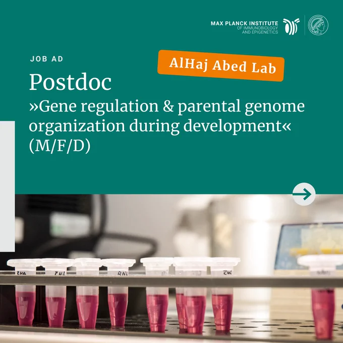 Job ad: The Max Planck Institute of Immunobiology and Epigenetics in Freiburg, Germany invites applications for a Postdoctoral position in the lab of Dr. AlHaj Abed. The AlHaj Abed lab is focused on understanding the epigenetic events contributing to gene regulation and parental genome organization during development.

The position is to be filled at the earliest possible date on a full-time job for an initial one-year contract with the possibility of an extension.