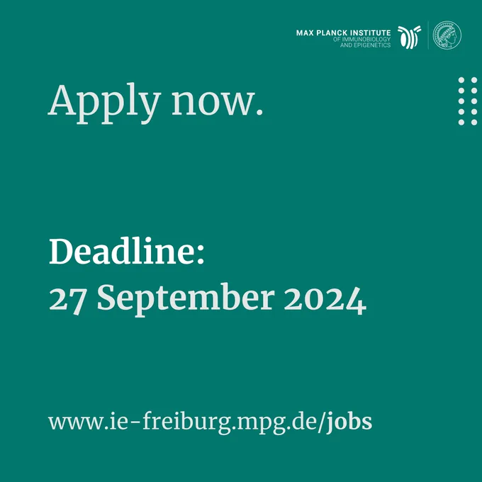 Deadline to apply: September 27, 2024