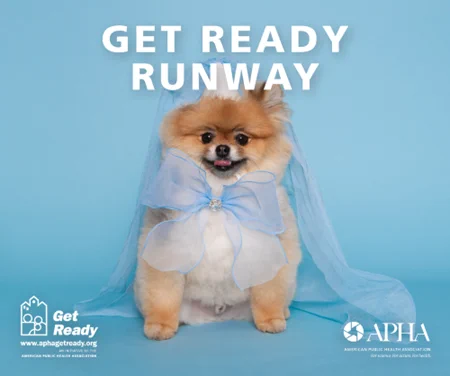 Image of 2024 Get Ready Calendar, features a dog dressed up on the cover and the title "Get Ready Runway"