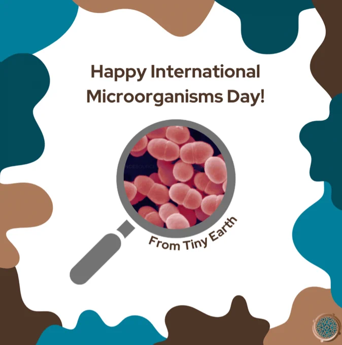 Celebratory graphic for International Microorganism Day showing Lactococcus lactis in a magnifying glass.