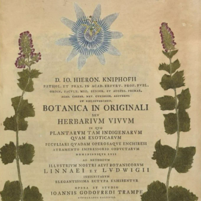 A page from an old book, featuring writing in Latin with foliage in the side borders and a passion flower above.