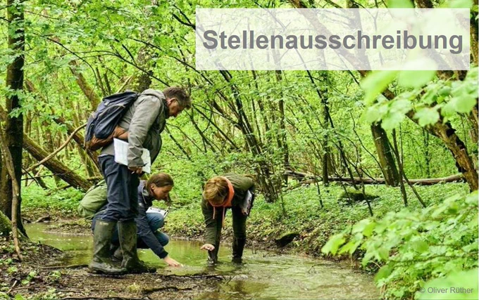 Symbolbild Stellenausschreibung Abteilung N
