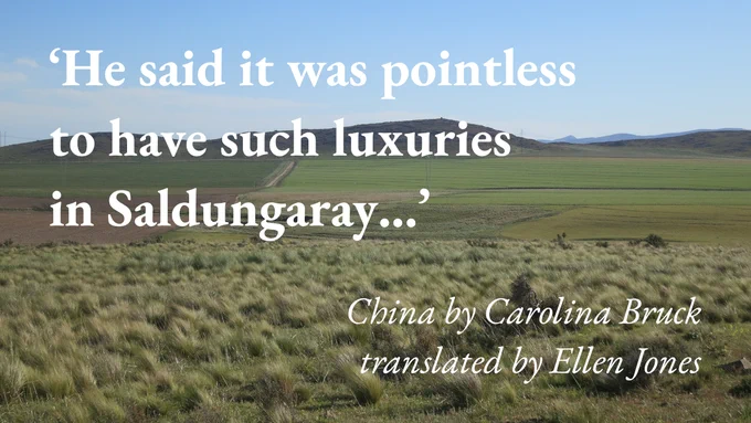 A view of the countryside around Saldungaray, Argentina, with a quote from Carolina Bruck's short story China, translated by Ellen Jones: 'He said it was pointless to have such luxuries in Saldungaray…'