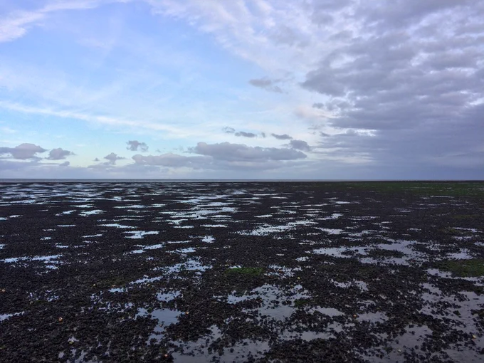 Waddenzee