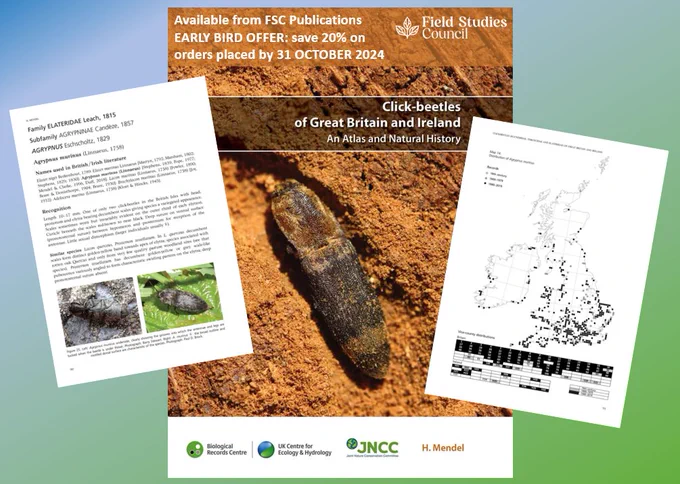 Cover and two inset page layouts for the new click-beetle atlas, with message "Available from FSC Publications - EARLY BIRD OFFER: save 20% on orders placed by 31 OCTOBER 2024"