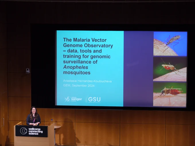 The Malaria Vector Genome Observatory – data, tools and training for genomic surveillance of Anopheles mosquitoes 