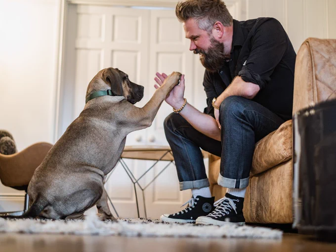 A brown medium size puppy is sat on the floor holding their paw up which is against the hand of a man sat on the sofa opposite them.