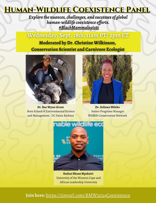 a flier describing a human-wildlife coexistence panel for Black Mammalogists Week