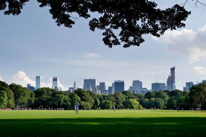 Central Park lawn in NY
