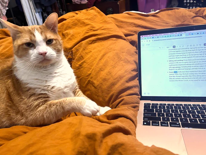 Orange and white cat lounging on an orange pillow next to an open laptop