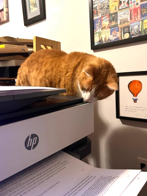 Orange and white cat peering over the top of a home printer with a printed page coming out of it