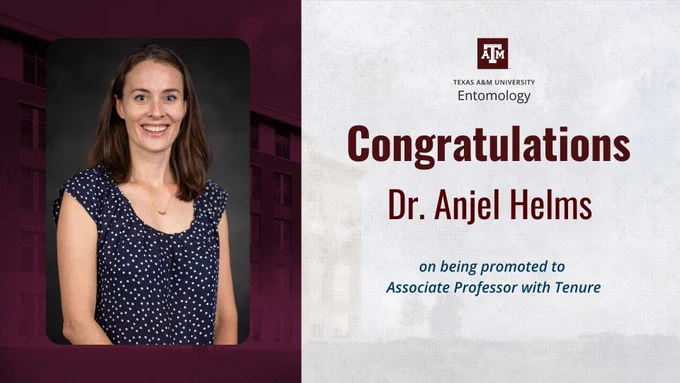 A graphic with a photo of Dr. Anjel Helms and her promotion as Associate Professor with Tenure.