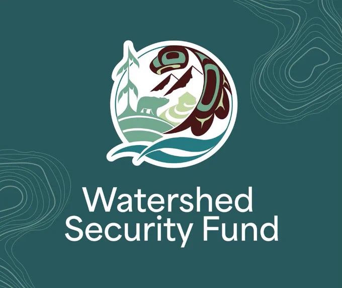 WSF logo