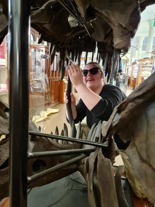 a smiling woman reaching inside the jaws of a large dinosaur skeleton, using a brush to clean the dinosaur's teeth