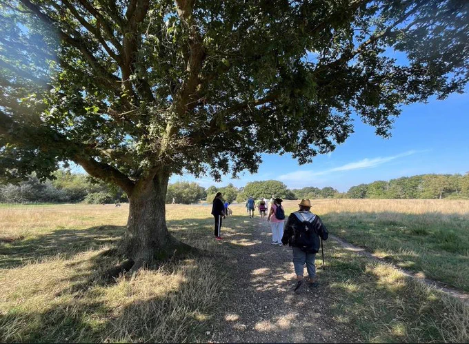 Pollards Hill Walk and Talk