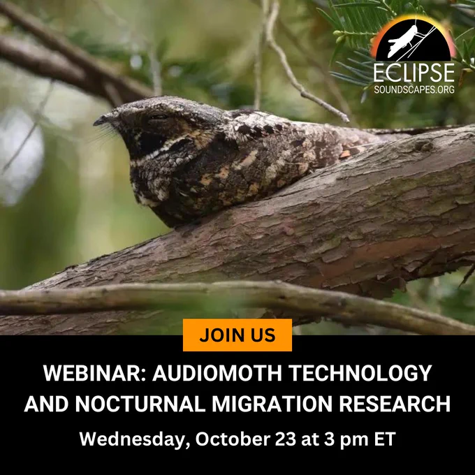 WEBINAR: AudioMoth Technology and Nocturnal Migration Research, Wednesday, October 23 at 3 pm ET.
