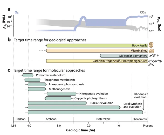 Figure summarizing the highlights of the paper through Earth-life history.