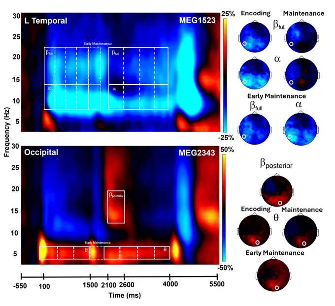 Figure two shows our spectrogram