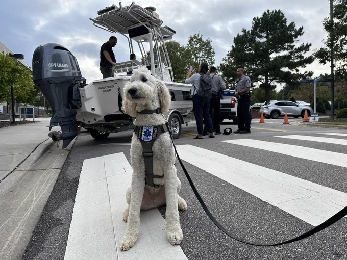 Wake County EMS Therapy Dog Stryker sitting for a photo