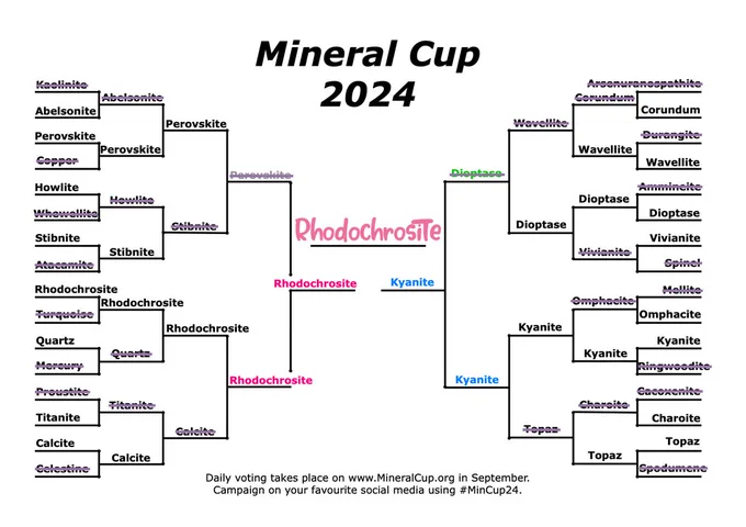  A completed 32-mineral elimination bracket for Mineral Cup 2024 with Rhodochrosite winning the final match between Rhodochrosite and Kyanite, with Rhodochrosite written in pink and Kyanite written in blue. Eliminated minerals from Round 4, left to right, are Perovskite and Dioptase. Eliminated minerals from Round 3, from top to bottom alternating left to right, are Stibnite, Wavellite, Calcite, and Topaz. Eliminated minerals from Round 2 are Abelsonite, Howlite, Quartz, Titanite, Corundum, Vivianite, Omphacite, and Charoite. Eliminated minerals from Round 1 that will not return in 2025 are Kaolinite, Arsenuranospathite, Copper, Durangite, Whewellite, Ammineite, Atacamite, Spinel, Turquoise, Mellite, Mercury, Ringwoodite, Proustite, Cacoxenite, Celestine, and Spodumene.