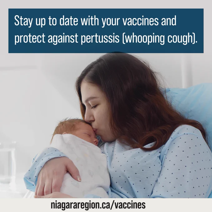 A mother in a hospital gown gently kisses the forehead of her newborn baby, who is wrapped in a white blanket. The text above reads, 'Stay up to date with your vaccines and protect against pertussis (whooping cough).' The website link 'niagararegion.ca/vaccines' is displayed at the bottom.