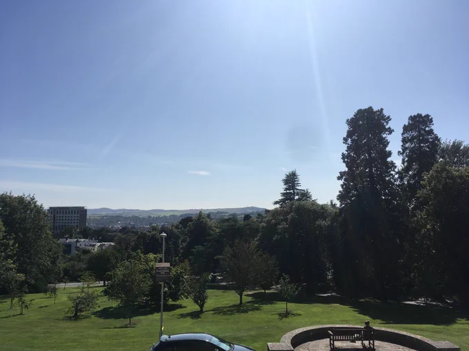 View from our building. It's always sunny here. 