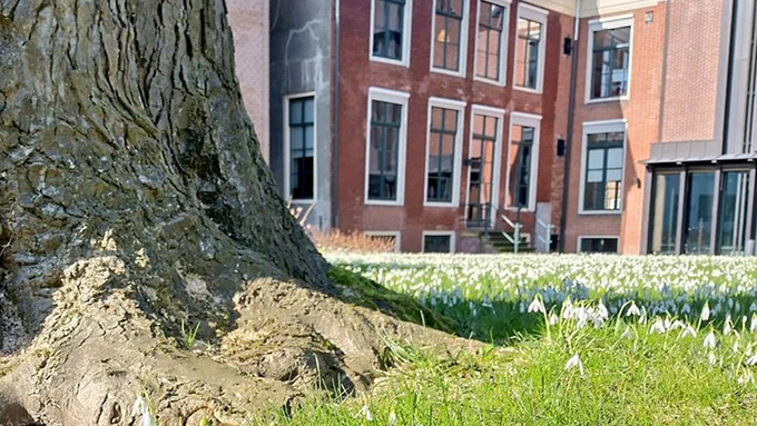 De Fryske Akademy biedt in samenwerking met de Universiteit van Amsterdam één promotieplaats aan voor vier jaar op het gebied van de Friese taal en cultuur. 