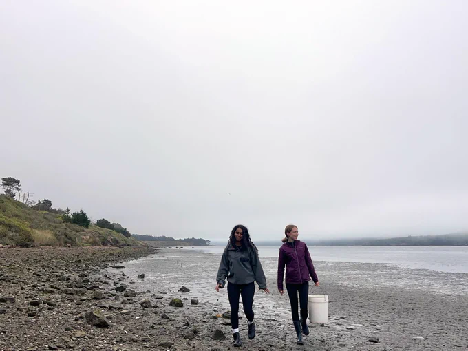 EVE Scholars Aishu Santosh and Caroline Donohew walking along the coast next to a mudflat on a gray, foggy day.