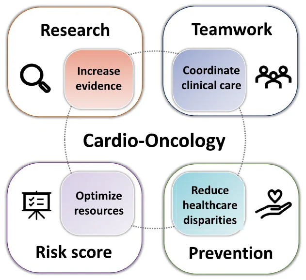 The field of cardio-oncology presents both chances and challenges.
Currently, many of the existing recommendations are based on expert consensus, which highlights the need for further research to better understand the interactions between cancer, cancer treatments and cardiovascular health. The simultaneous management of cancer and cardiovascular disease requires seamless multidisciplinary team coordination. It is therefore essential to implement comprehensive
cardio-oncology programmes based on personalised risk scores to
optimise resource investment. Ensuring equitable access to cardiooncology care remains a challenge. Integrating cardiovascular care into oncology is an effective strategy for improving overall patient outcomes.
