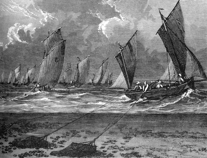 Image showing dredging for oysters from The Popular Science Monthly 1875