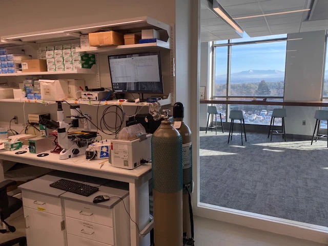 view from the lab!