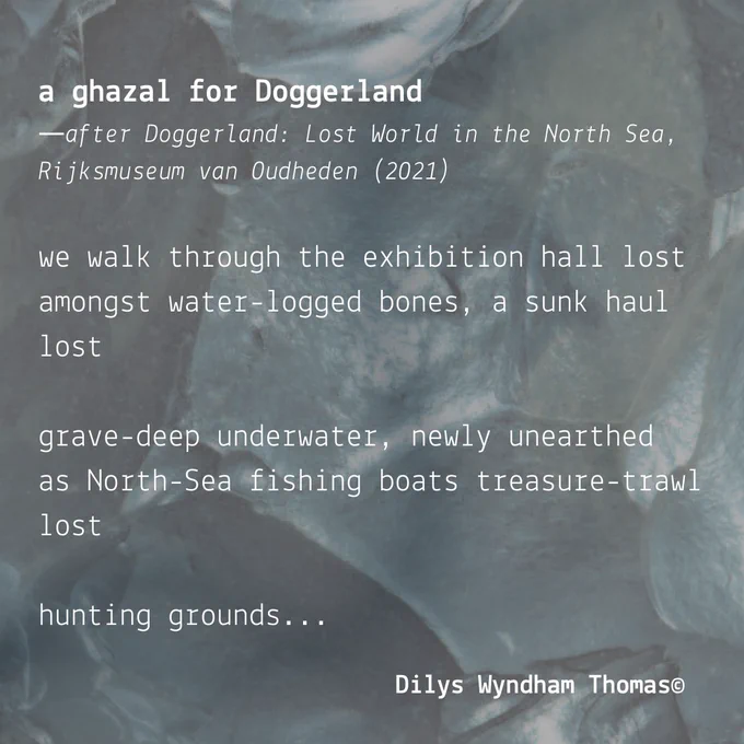 The background is a zoomed-in image of a knapped flint hand-axe, dark and slightly blurred. It is overlaid with text from 'a ghazal for Doggerland' by Dilys Wyndham Thomas. It reads:

—after Doggerland: Lost World in the North Sea, Rijksmuseum van Oudheden (2021)

we walk through the exhibition hall lost
amongst water-logged bones, a sunk haul lost

grave-deep underwater, newly unearthed
as North-Sea fishing boats treasure-trawl lost

hunting grounds...

