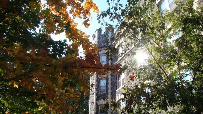 In the foreground, orange leaves on a tree appear on the left and green leaves on a tree appear on the right. In the background, Tower Hall. 