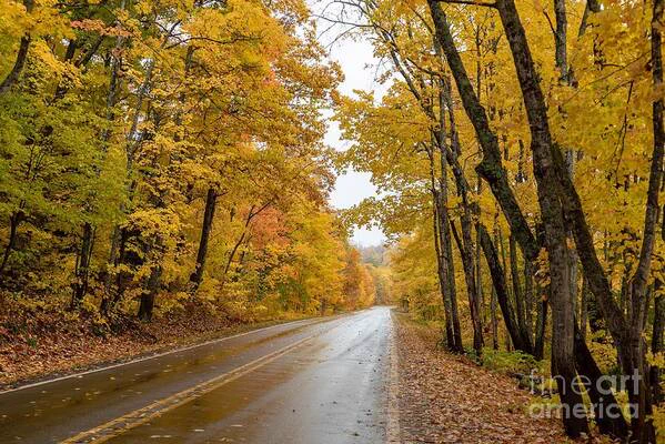 Embark on a visual journey through the breathtaking landscapes of Tettegouche This photograph captures the serene beauty of a golden autumn drive through Michigan's Upper Peninsula on a radiant sunny day. The tree-lined road is framed by vibrant foliage, with hues of gold, amber, and orange painting the landscape in stunning fall colors. Sunlight filters through the canopy, casting warm, dappled light onto the road ahead, inviting viewers to imagine the crisp air and peaceful atmosphere of a perfect autumn day. The scene evokes a sense of tranquility and the timeless beauty of nature's seasonal transformation.

© Susan Rydberg