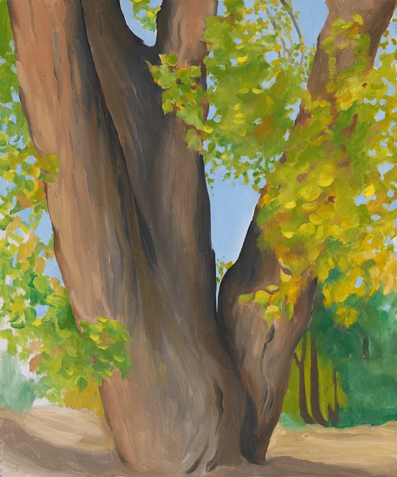 A large cottonwood tree fills much of the canvas. Its thick trunk splits into three parts as it rises upward. Yellow and green leaves seem to flutter around the tree. Other trees can be seen in the distance in the lower right corner.