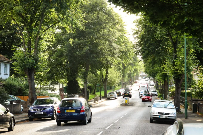 A tree lined road in South London.