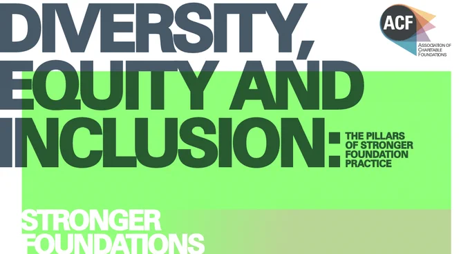 Screengrab from front of DEI Stronger Foundations report