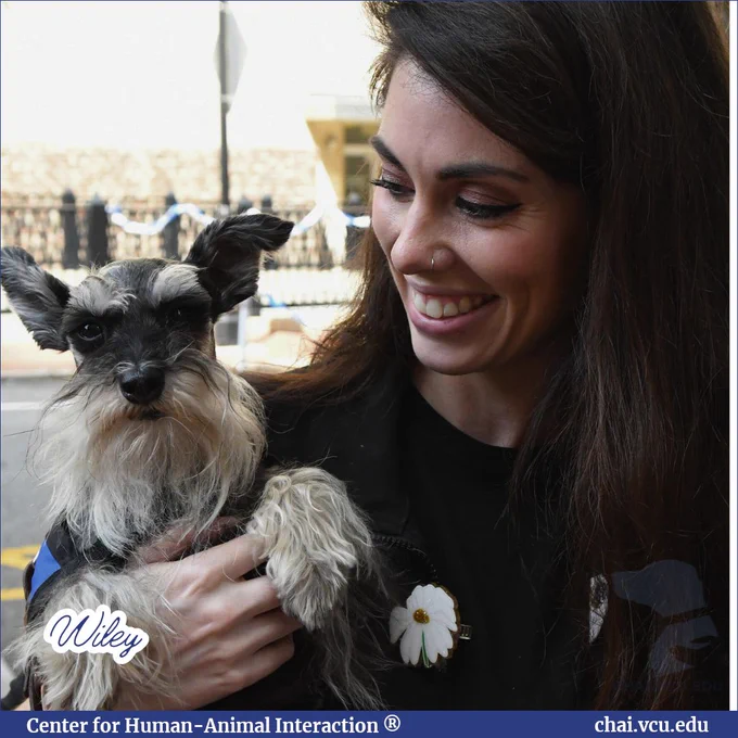 Image Description: Wiley the miniature schnauzer looks at the camera as he is in the arms of a hospital employee. Text reads: Wiley.