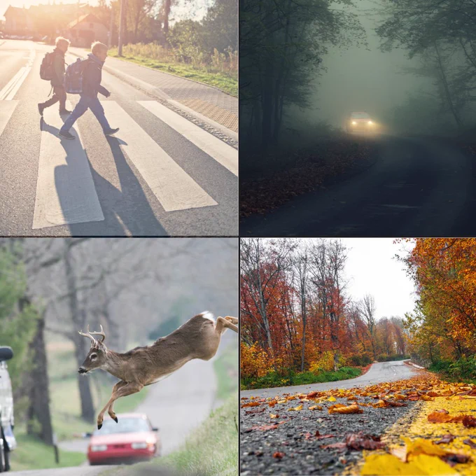 Collage of four images: Top left shows two people using a crosswalk on a sunny day. Top right features a car with headlights on driving through a foggy forest road. Bottom left captures a deer leaping in front of a moving car. Bottom right depicts a scenic autumn road lined with colorful trees.