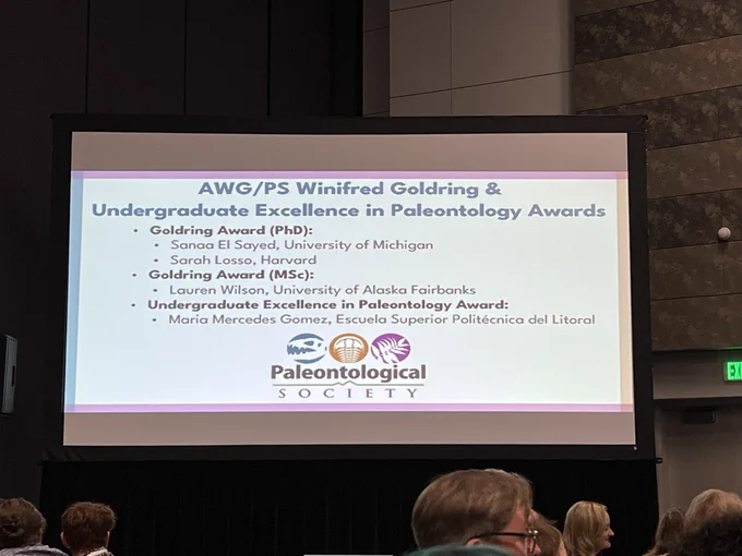 Slide announcing Goldring Award winners.