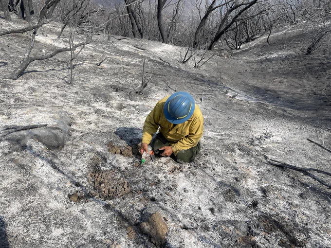 BAER Soil Scientist Assessing Soil Burn Severity in Basin Burned Area