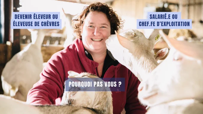 Devenir éleveur ou éleveuse de chèvre, salarié ou chef d'exploitation, pourquoi pas vous ?
Stand de l'Association Nationale Interprofessionnelle caprine au Sommet de l'Elevage, pour la filière lait de chèvre
Stand B03 hall 5 ovins caprins - installation, transmission, élevage caprin