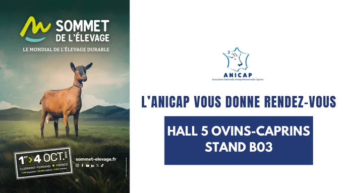 Stand de l'Association Nationale Interprofessionnelle caprine au Sommet de l'Elevage, pour la filière lait de chèvre
Stand B03 hall 5 ovins caprins - installation, transmission, élevage caprin